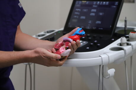 Your baby has been diagnosed with a congenital heart defect, what next?