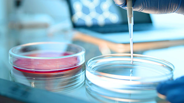 Close up of chemicals being dripped into glass dishes in lab setting