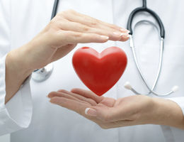 Doctor Holding Heart 